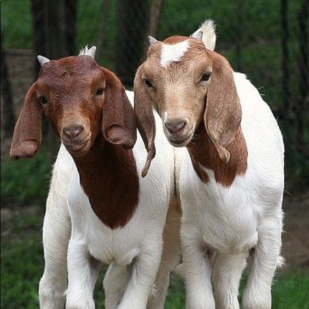 Meet your Poshers, Sara & Marcia